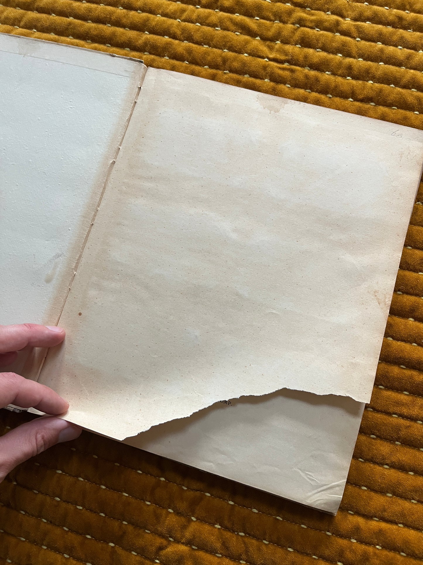 Winter Verkade Plaatjesalbum 1909