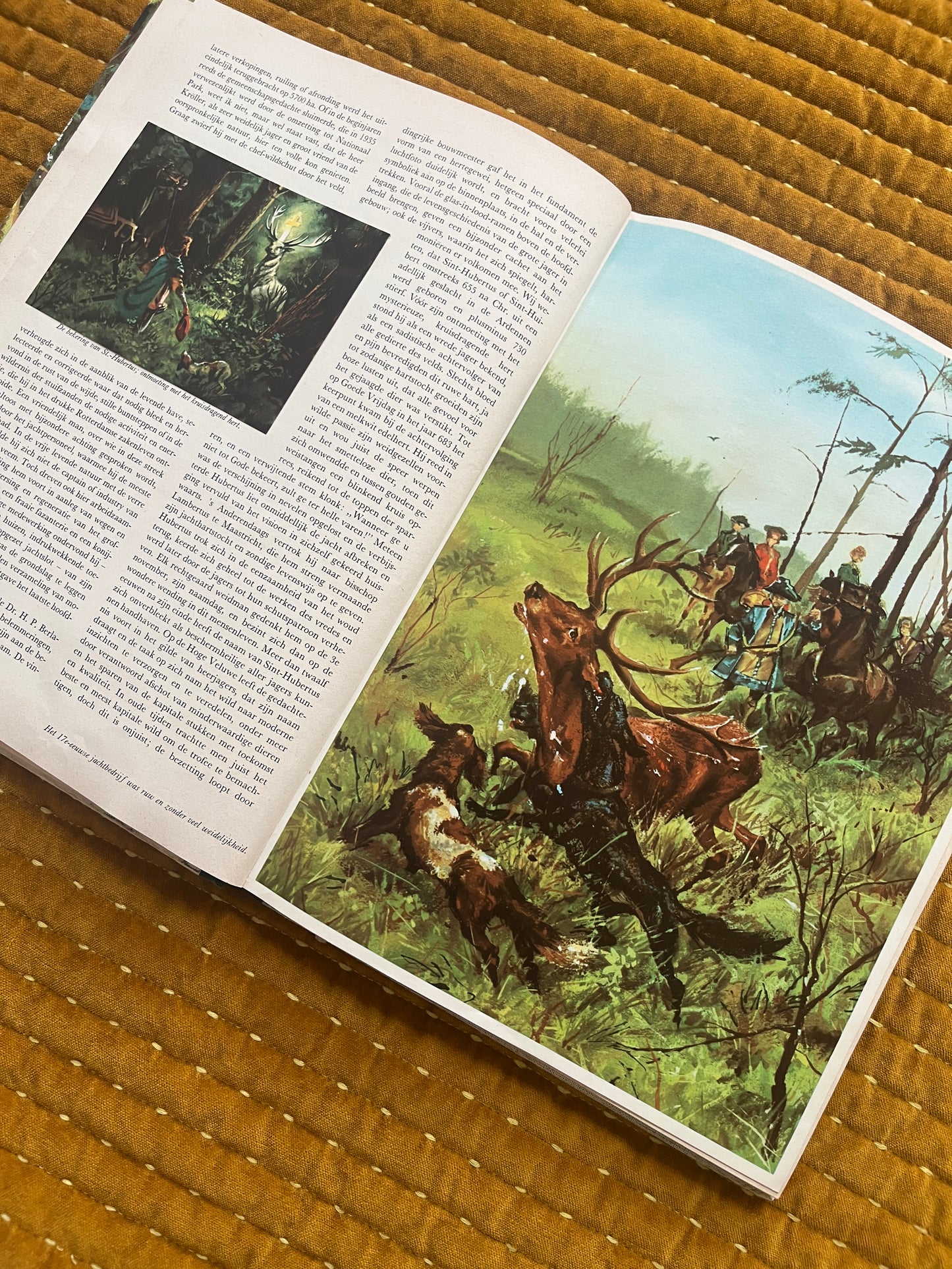 So lebt die Hoge Veluwe – Fotoalbum 1960