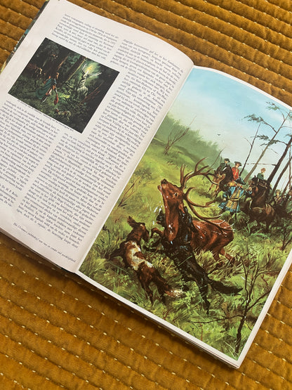 So lebt die Hoge Veluwe – Fotoalbum 1960