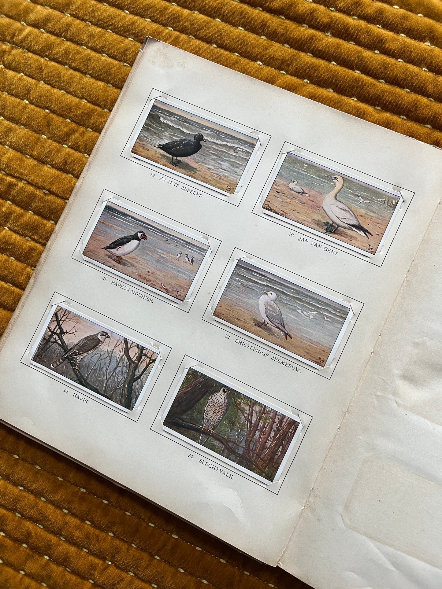 Winter Verkade Plaatjesalbum 1909