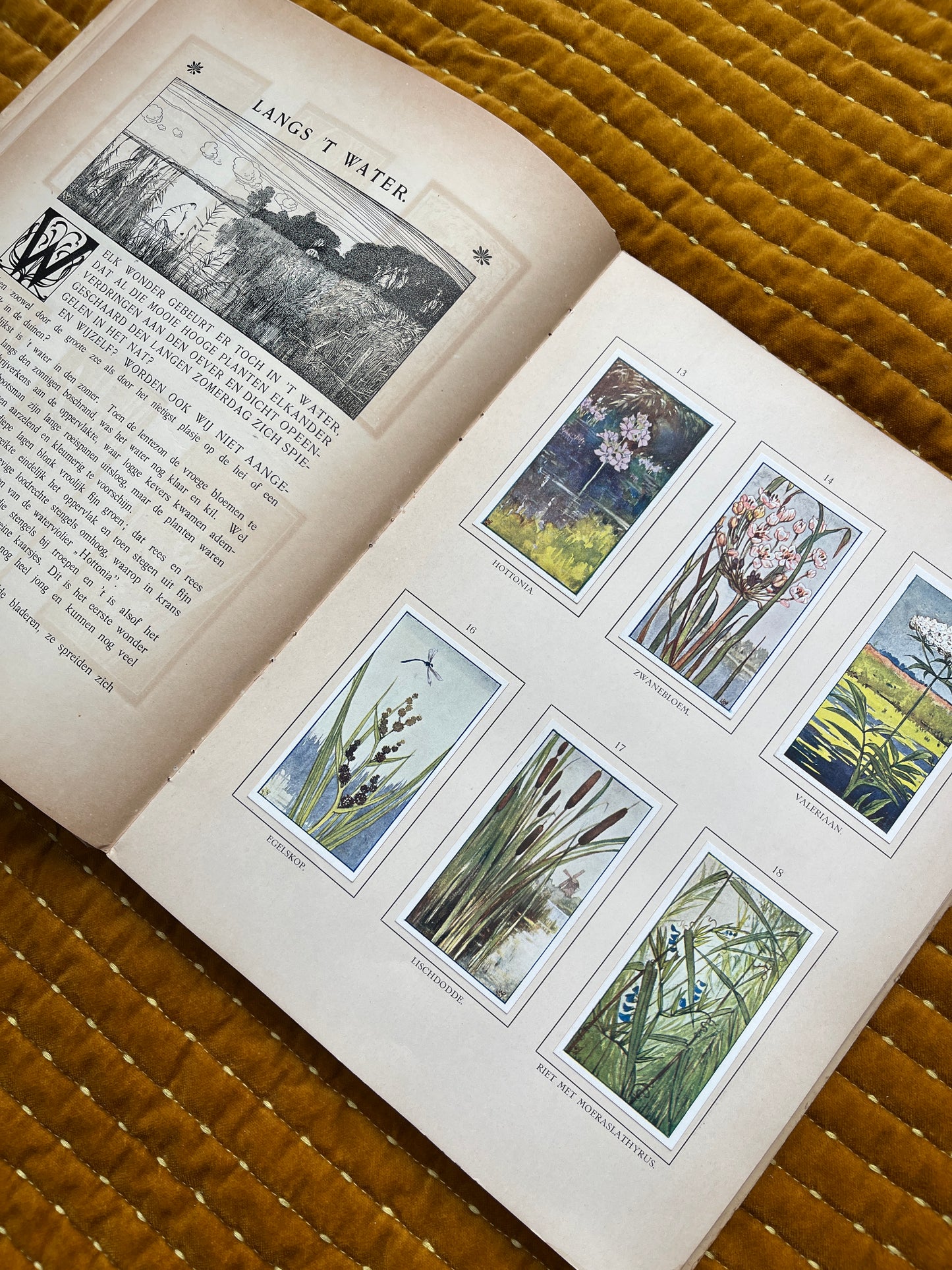 Zomer Verkade Plaatjesalbum 1908 (tweede druk)