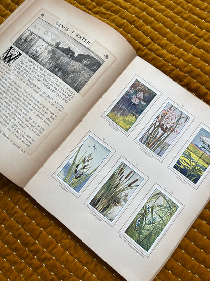 Zomer Verkade Plaatjesalbum 1908 (tweede druk)