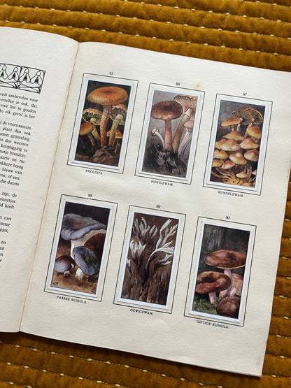 Bosch en Heide Verkade Plaatjesalbum 1913