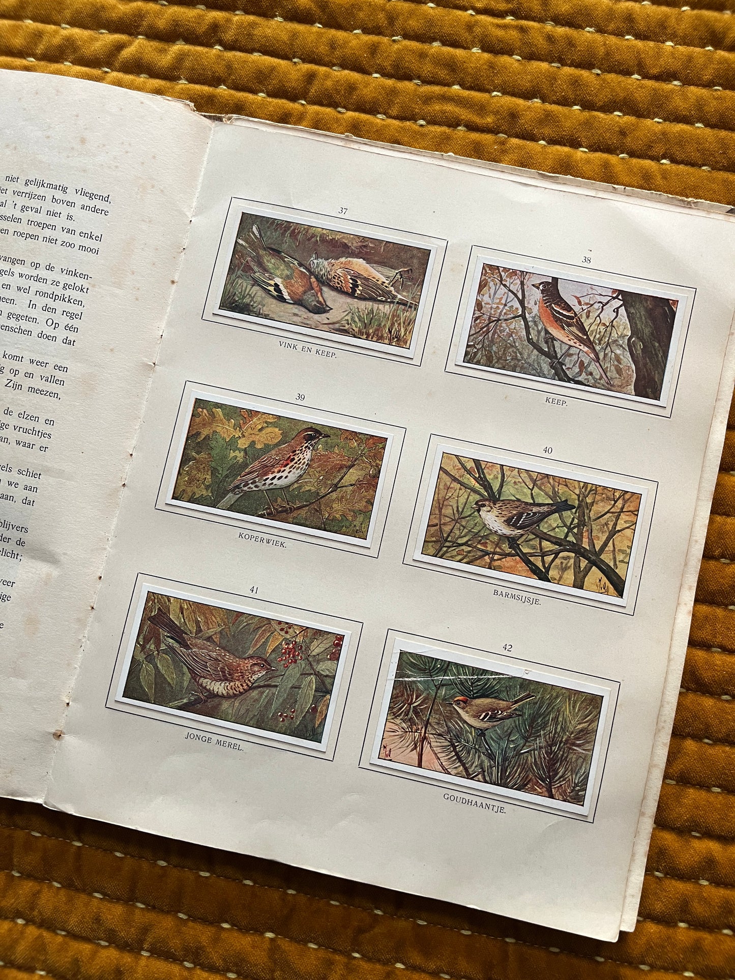 Herfst Verkade Plaatjesalbum 1910