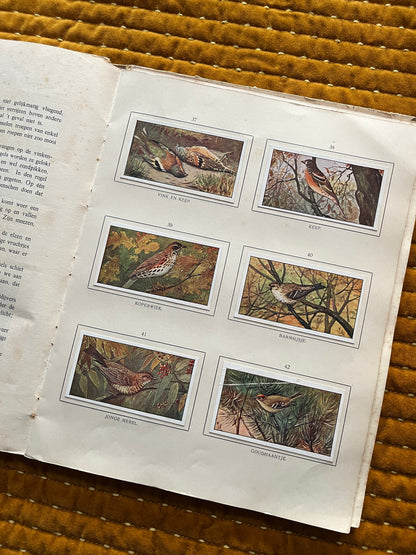 Herfst Verkade Plaatjesalbum 1910