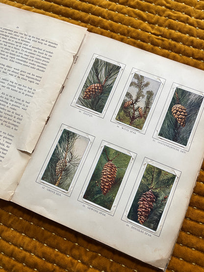 Winter Verkade Plaatjesalbum 1909