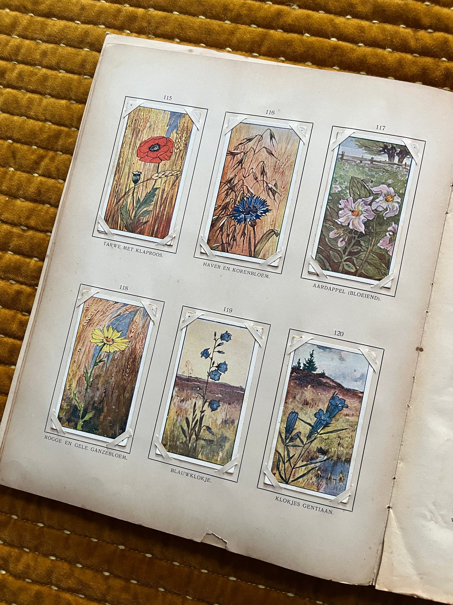 Zomer Verkade Plaatjesalbum 1907