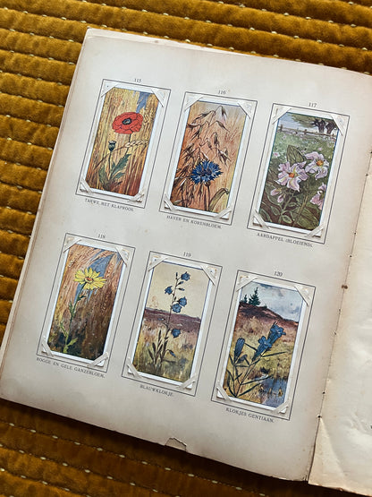 Zomer Verkade Plaatjesalbum 1907