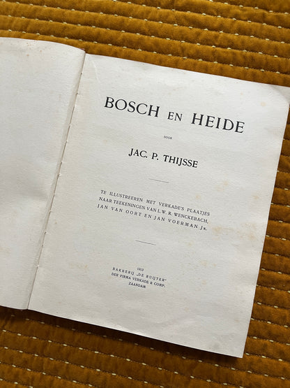 Bosch en Heide Verkade Plaatjesalbum 1913