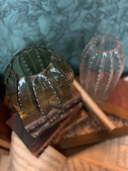 Set cactus vases