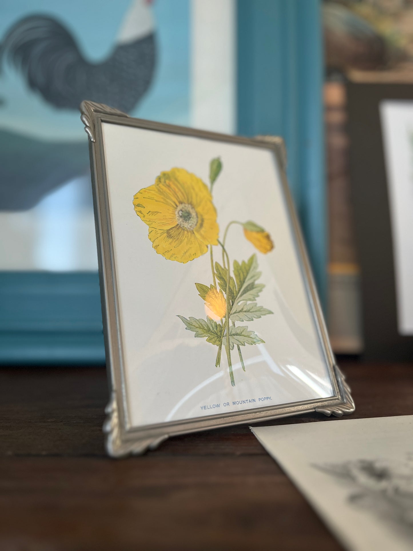 Antiek art deco lijstje met prent uit 1910 van een Yellow Poppy