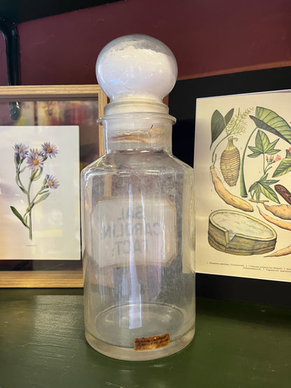 Apothekerspot blank glas Sal Carolin Fact label