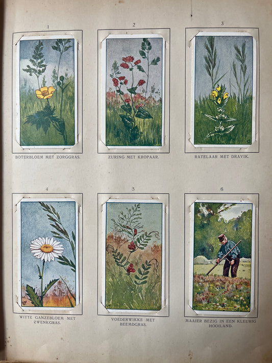 Losse Verkade plaatjes Zomer (1907) 1-6
