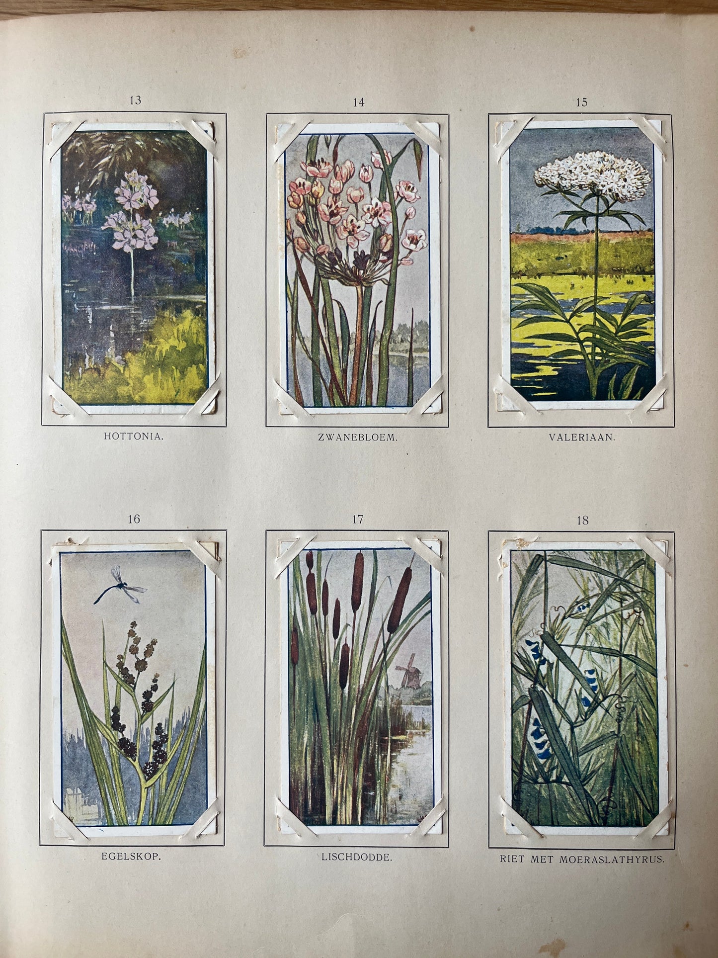 Loose Verkade pictures Summer (1907) 13-18