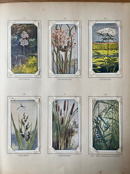 Loose Verkade pictures Summer (1907) 13-18