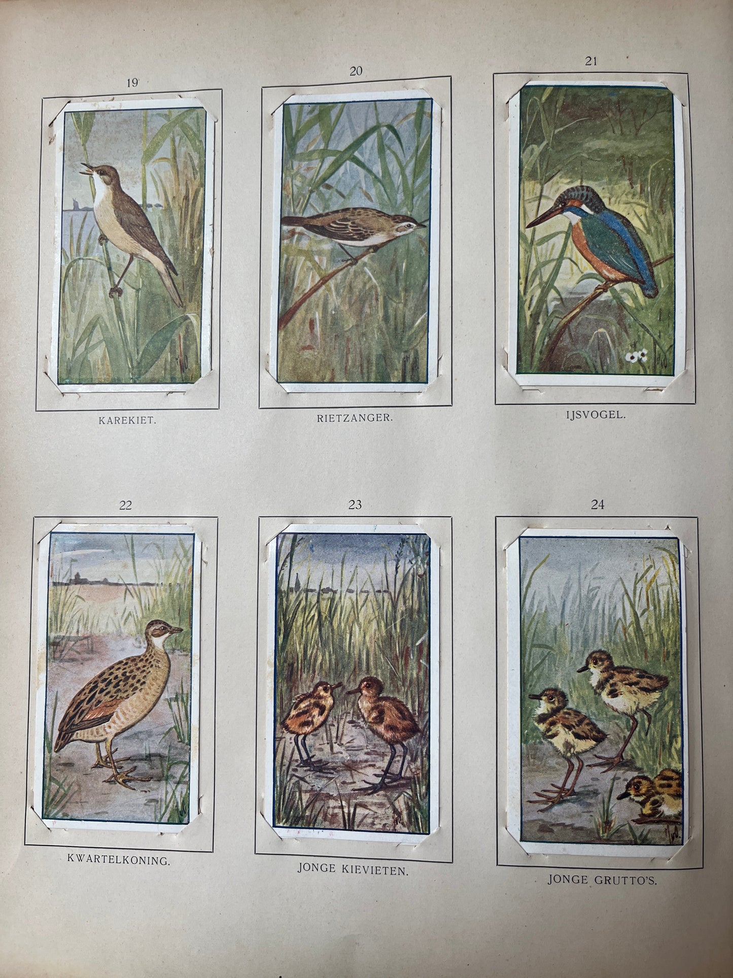 Loose Verkade pictures Summer (1907) 19-24