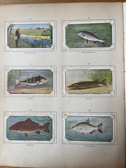 Loose Verkade pictures Summer (1907) 31-36