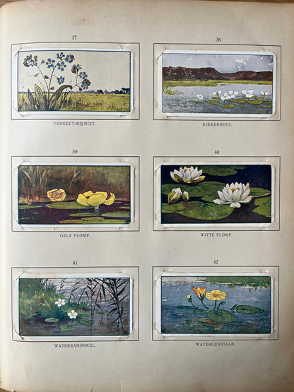 Losse Verkade plaatjes Zomer (1907) 37-42