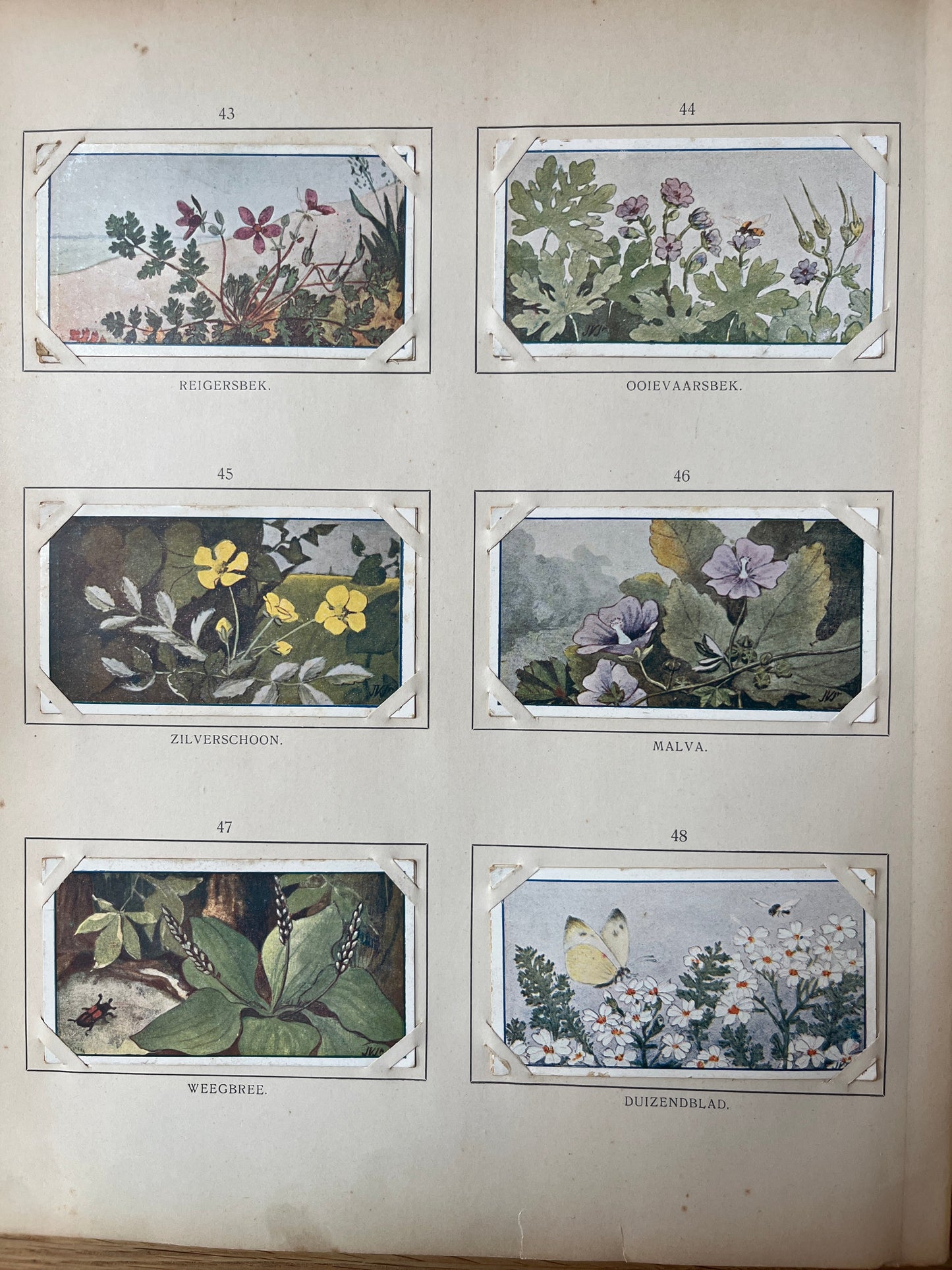 Losse Verkade plaatjes Zomer (1907) 43-48