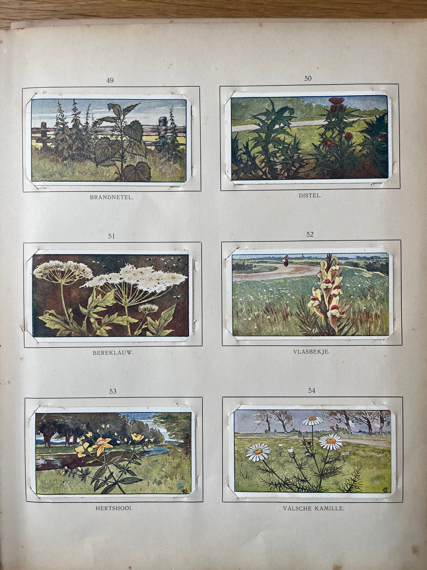 Loose Verkade pictures Summer (1907) 49-54