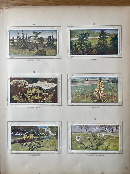 Loose Verkade pictures Summer (1907) 49-54