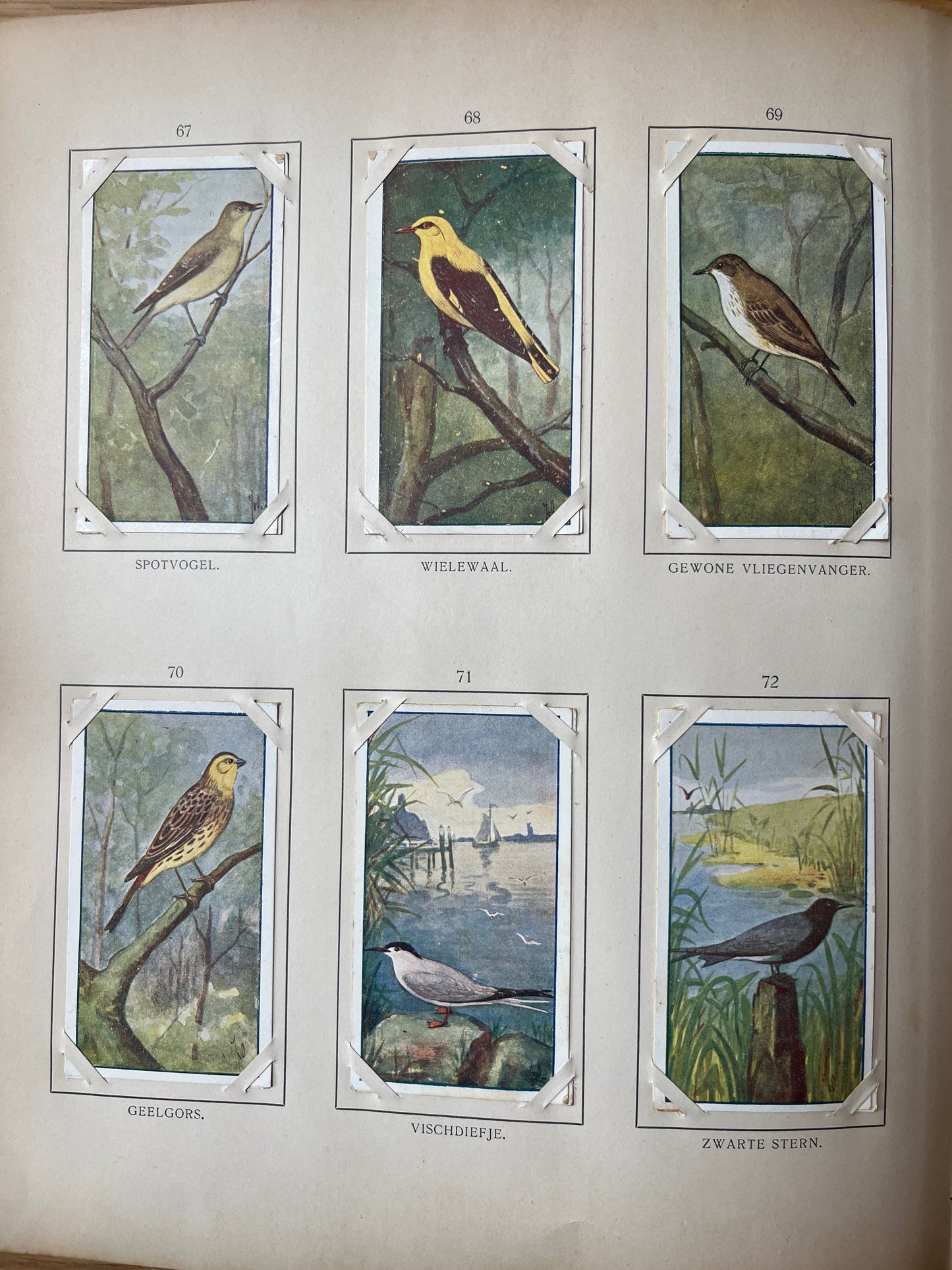 Losse Verkade plaatjes Zomer (1907) 67-72