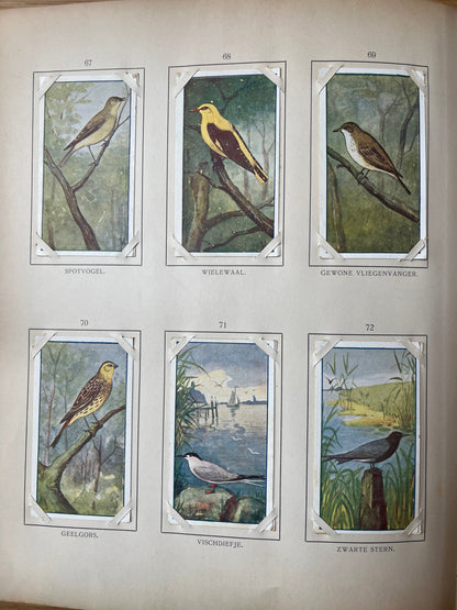 Losse Verkade plaatjes Zomer (1907) 67-72