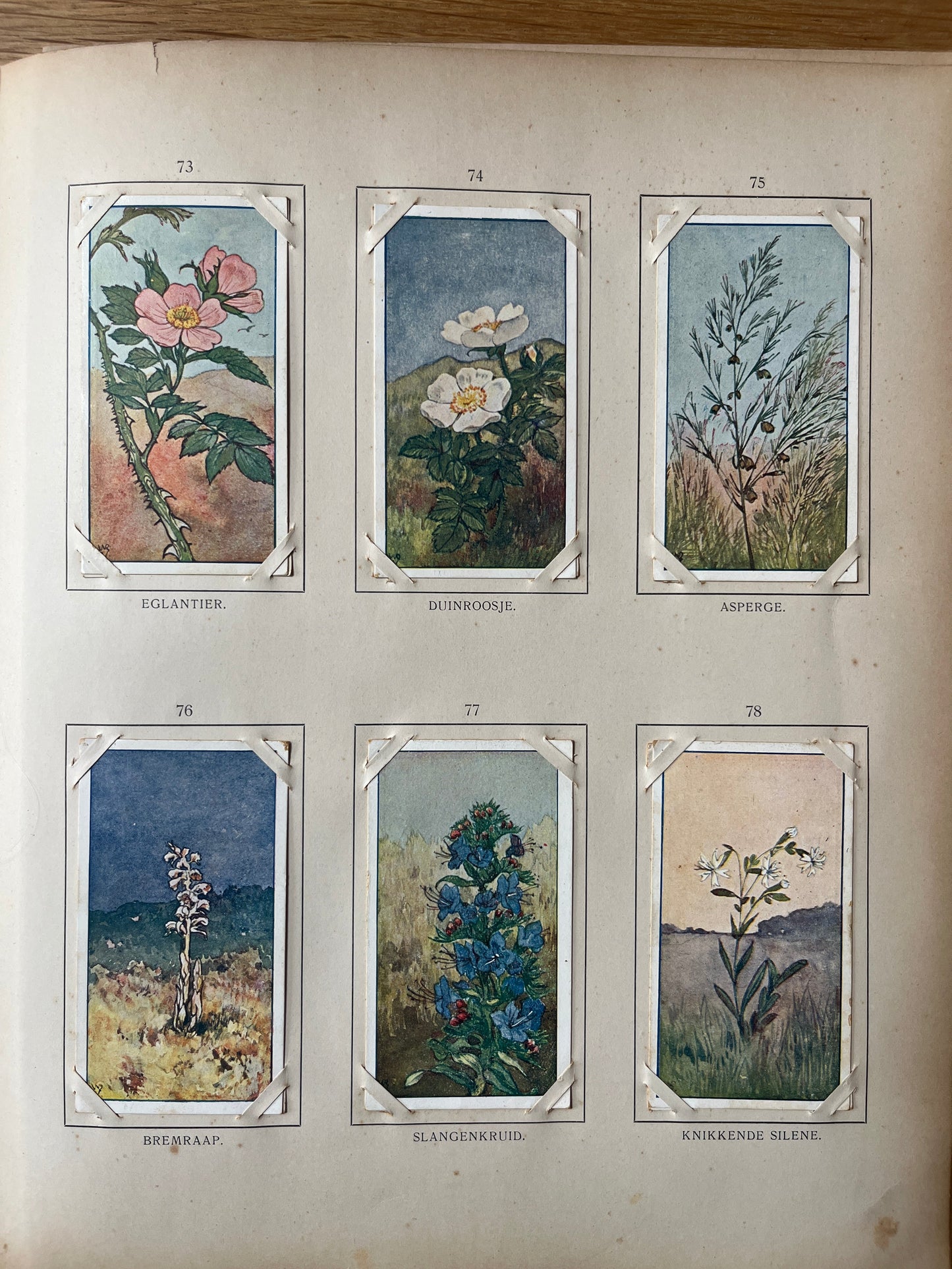 Losse Verkade plaatjes Zomer (1907) 73-78