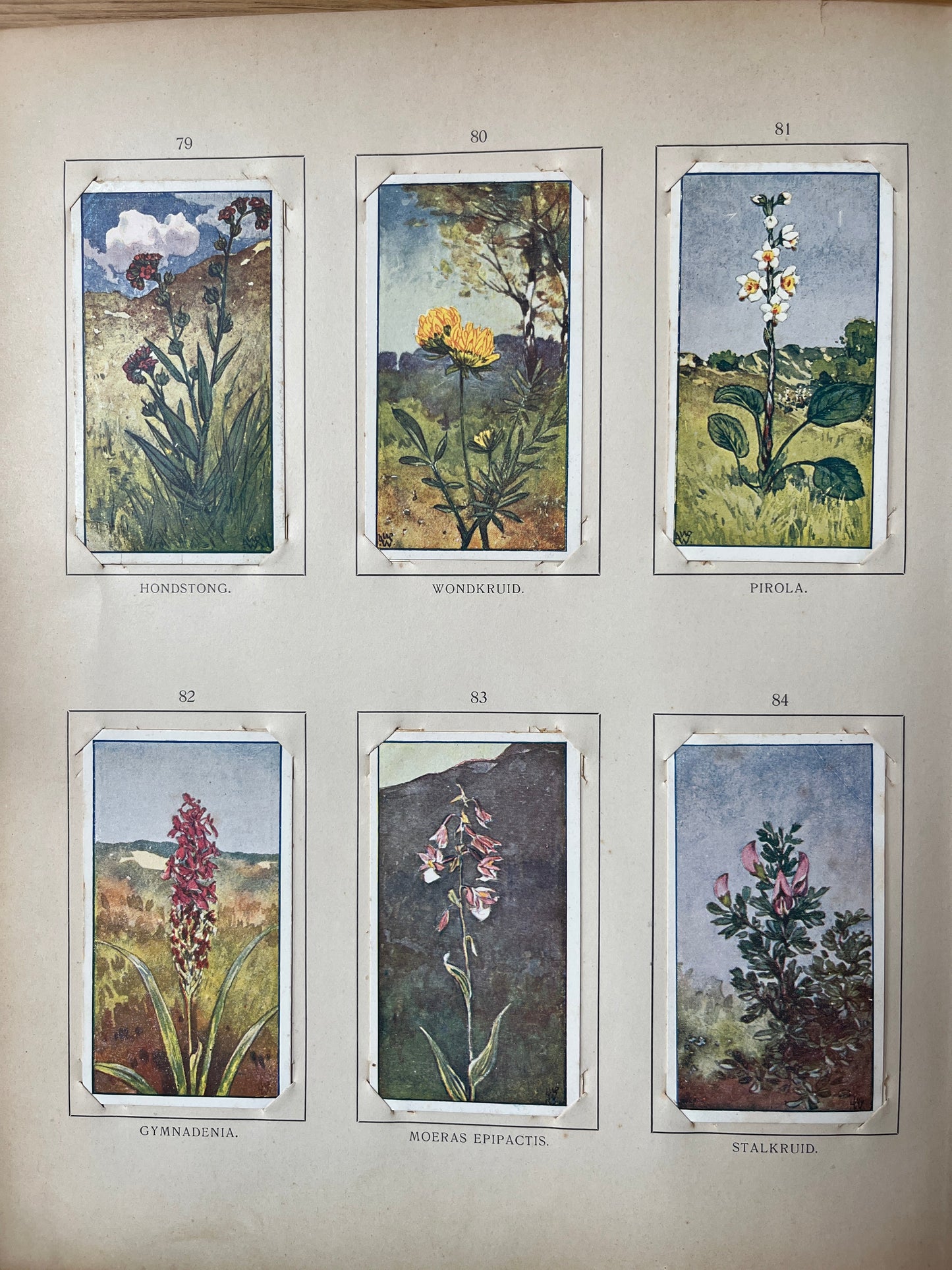 Loose Verkade pictures Summer (1907) 79-84