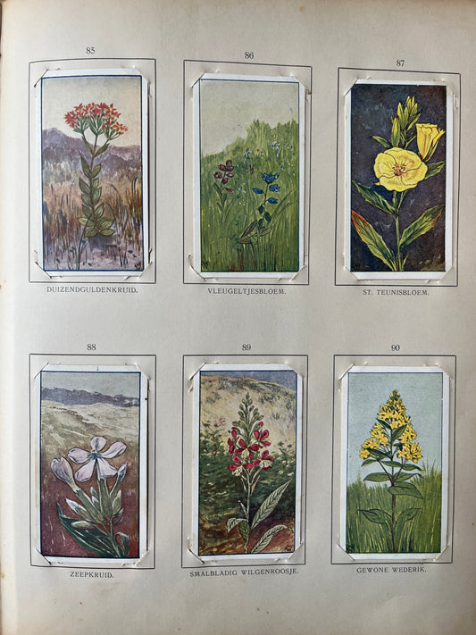 Losse Verkade plaatjes Zomer (1907) 85-90