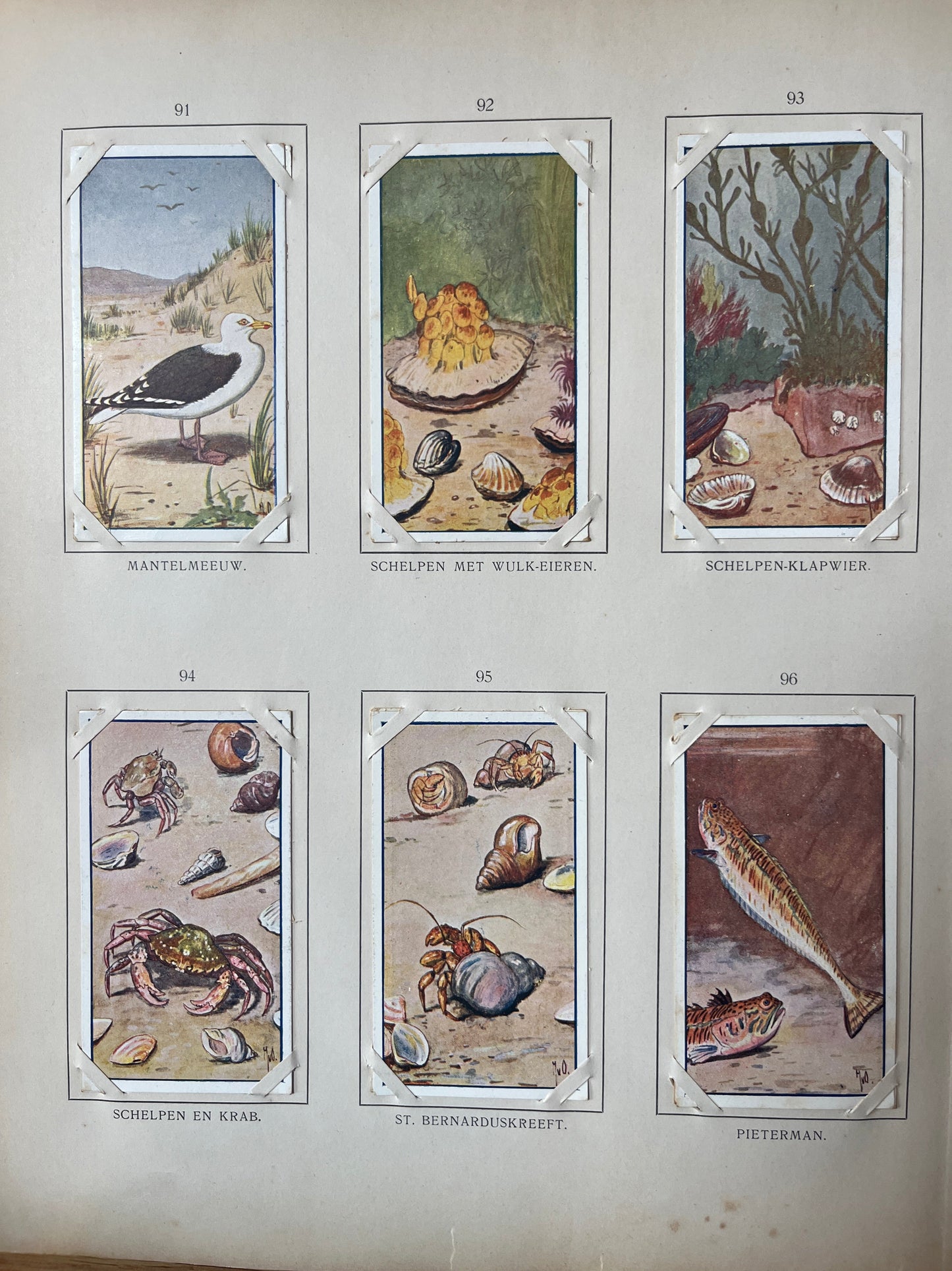 Losse Verkade plaatjes Zomer (1907) 91-96