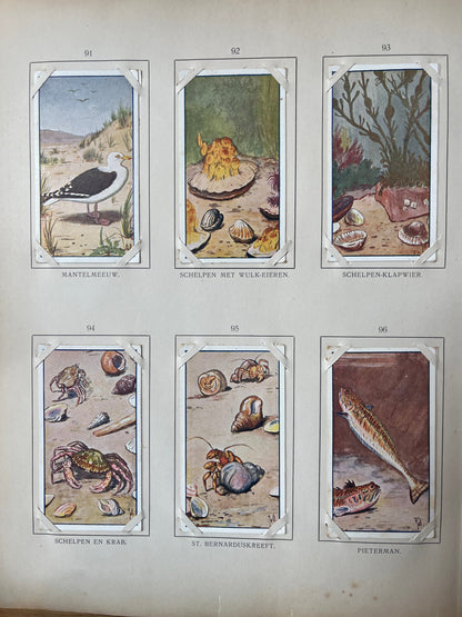 Losse Verkade plaatjes Zomer (1907) 91-96