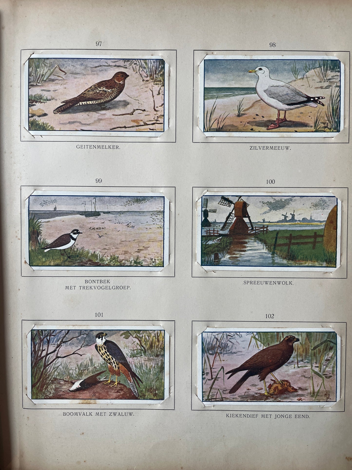 Loose Verkade pictures Summer (1907) 97-102