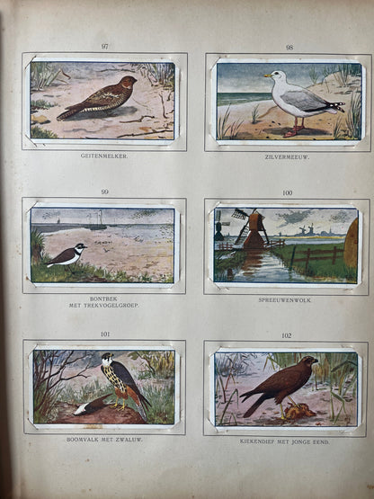 Loose Verkade pictures Summer (1907) 97-102