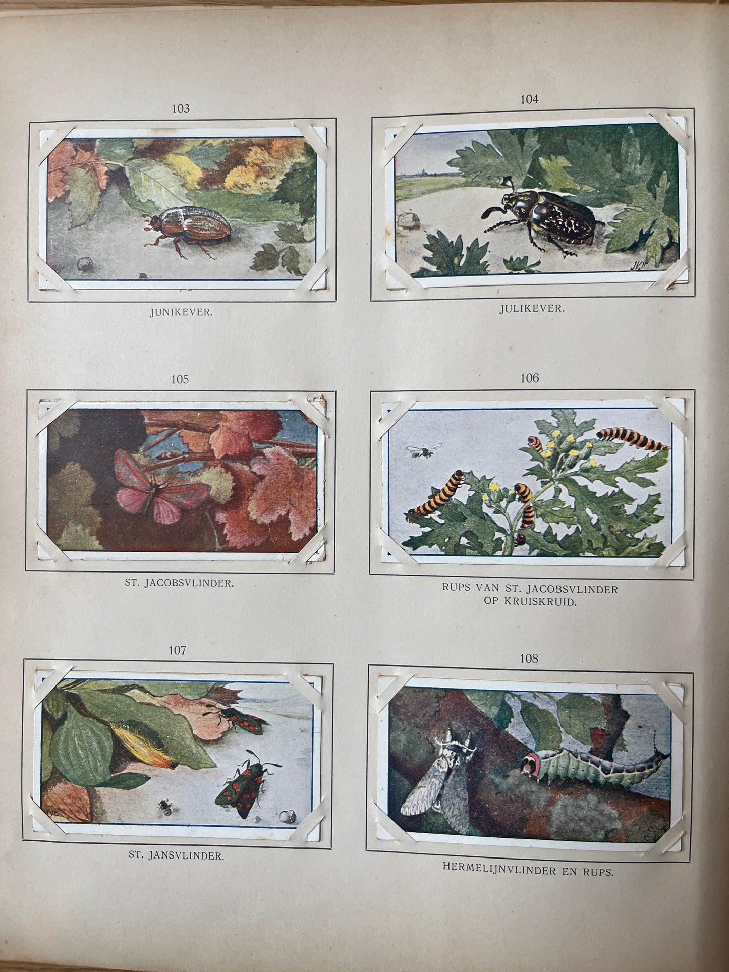 Loose Verkade pictures Summer (1907) 103-108