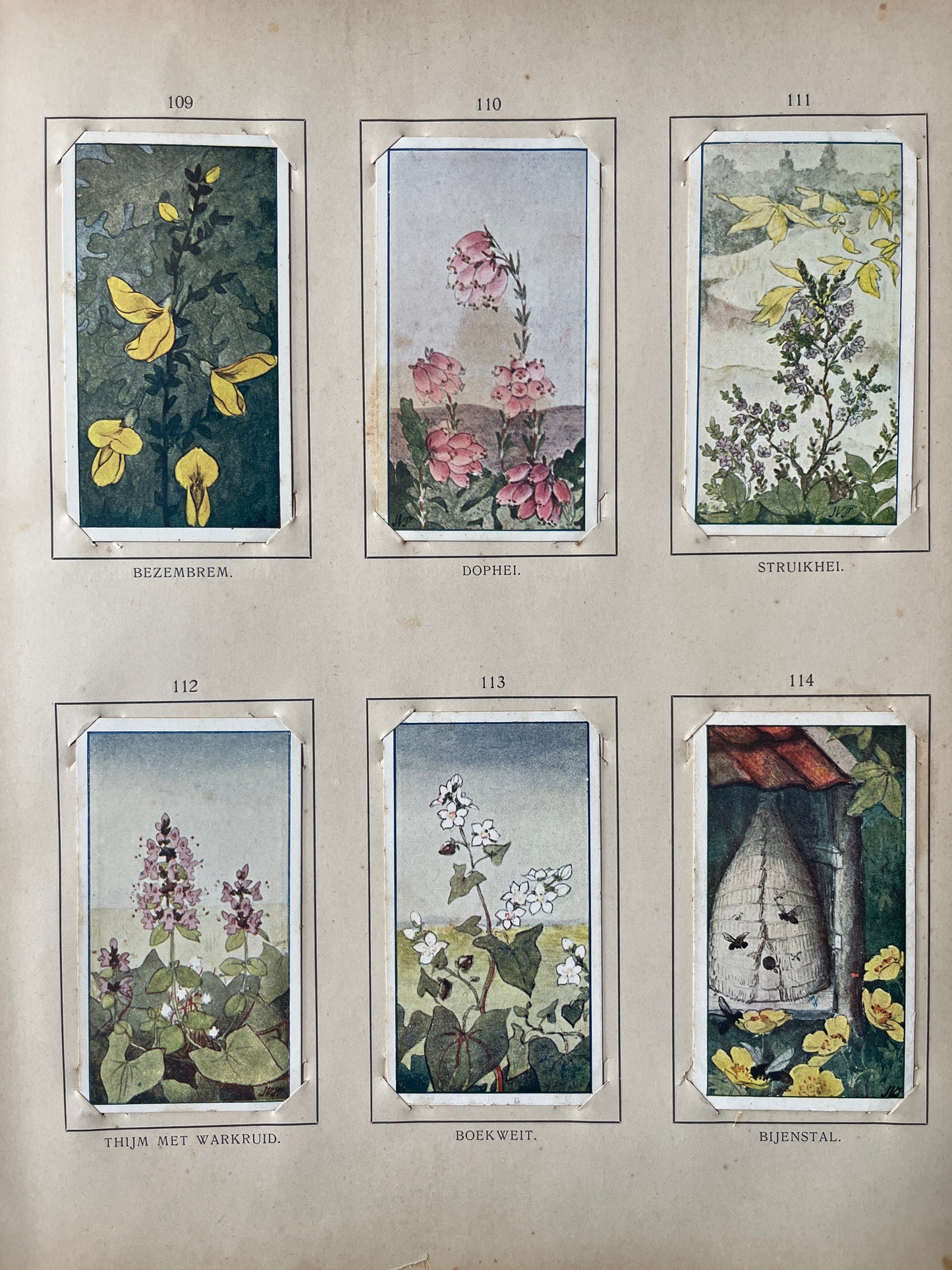 Loose Verkade pictures Summer (1907) 109-114