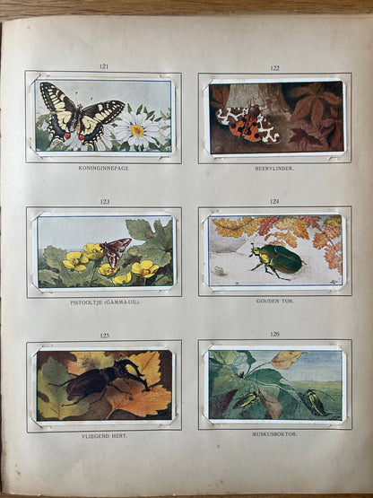 Losse Verkade plaatjes Zomer (1907) 121-126