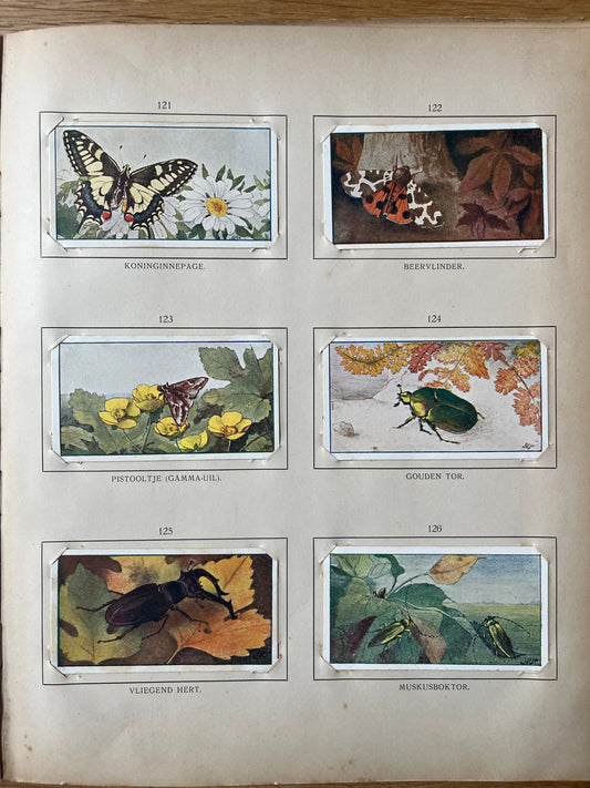 Losse Verkade plaatjes Zomer (1907) 121-126