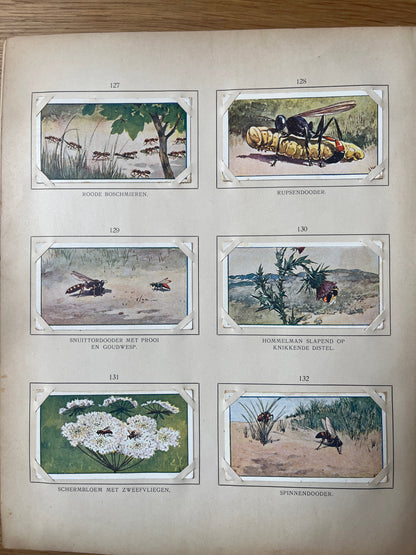 Losse Verkade plaatjes Zomer (1907) 127-132
