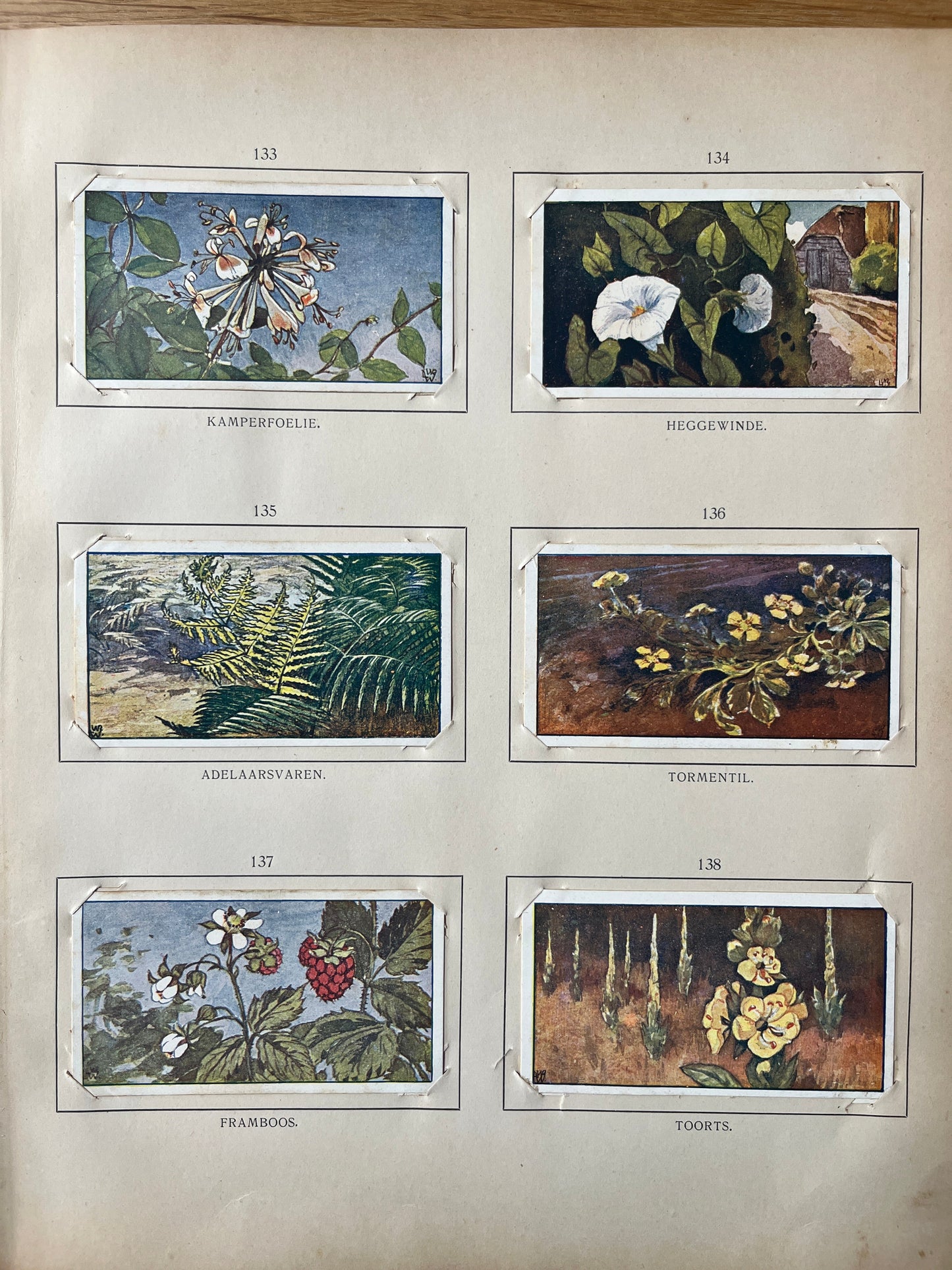 Losse Verkade plaatjes Zomer (1907) 133-138