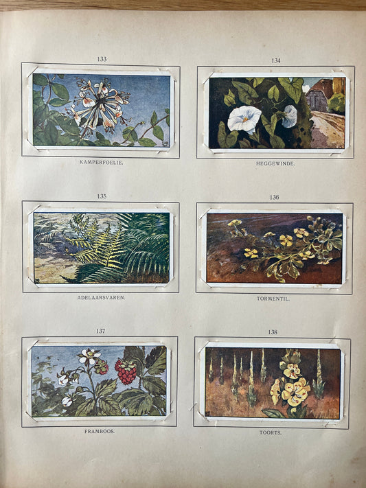 Losse Verkade plaatjes Zomer (1907) 133-138