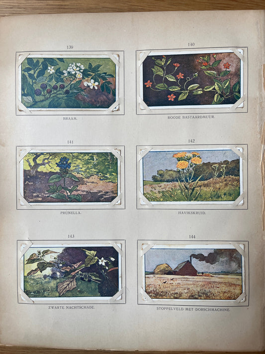 Losse Verkade plaatjes Zomer (1907) 139-144