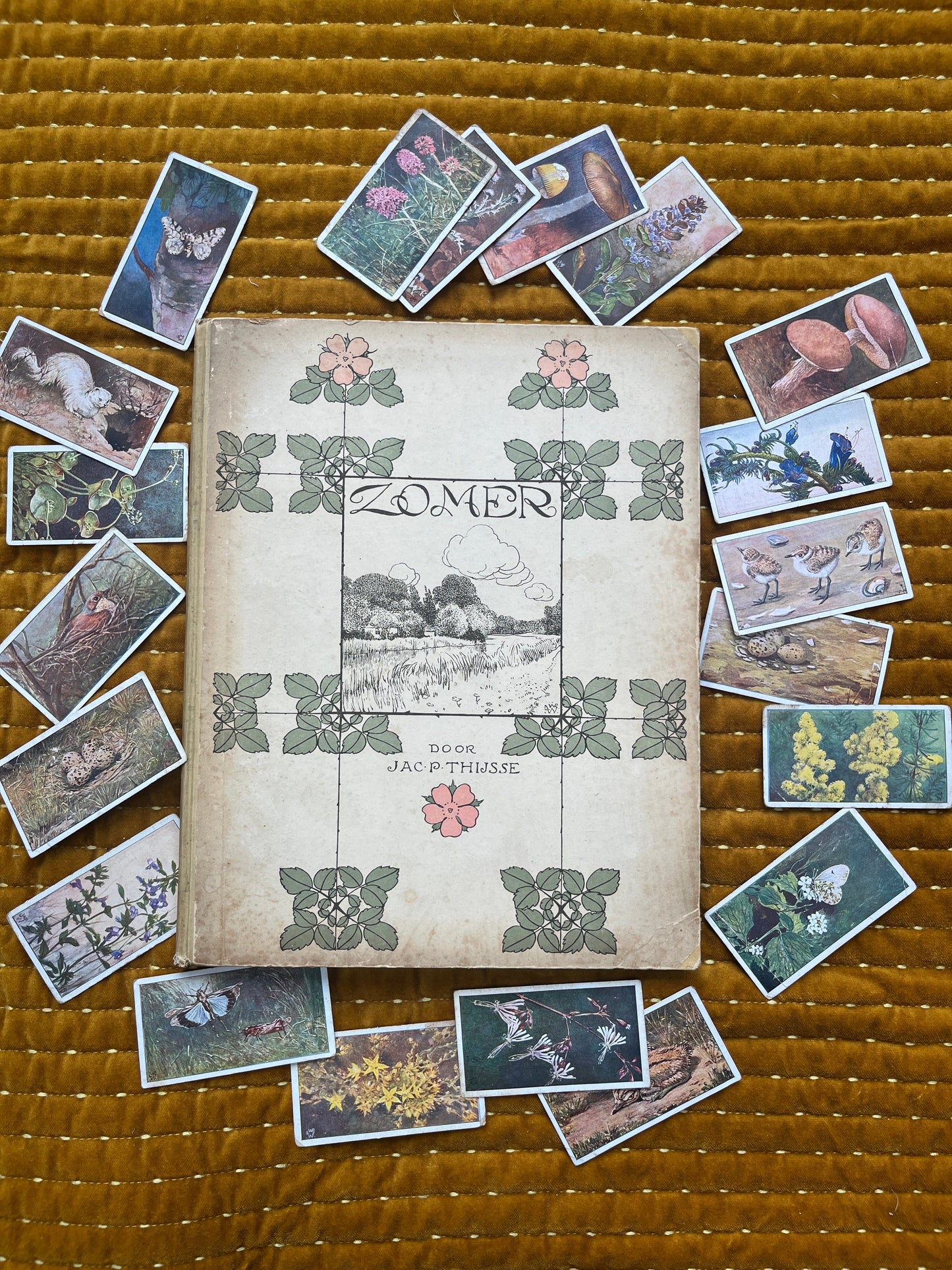 Losse Verkade plaatjes Zomer (1907) 43-48