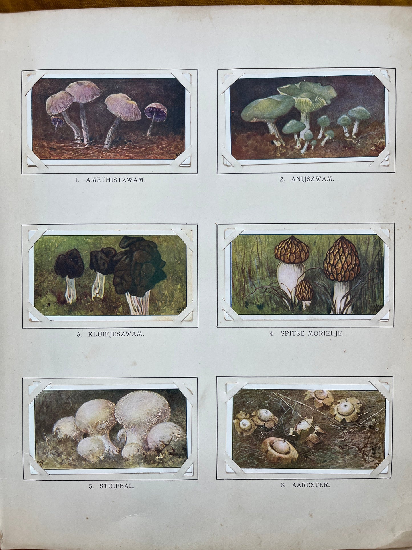 Loose Verkade pictures Winter (1909) 1-6