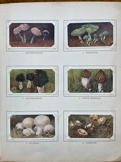 Loose Verkade pictures Winter (1909) 1-6