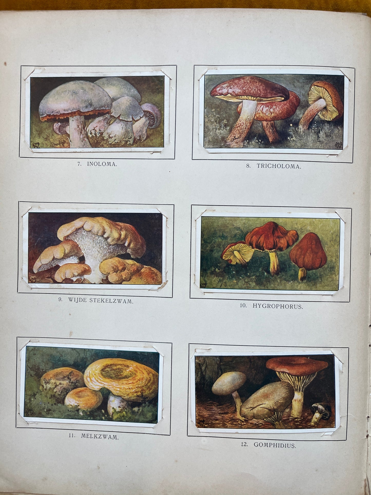 Loose Verkade pictures Winter (1909) 7-12