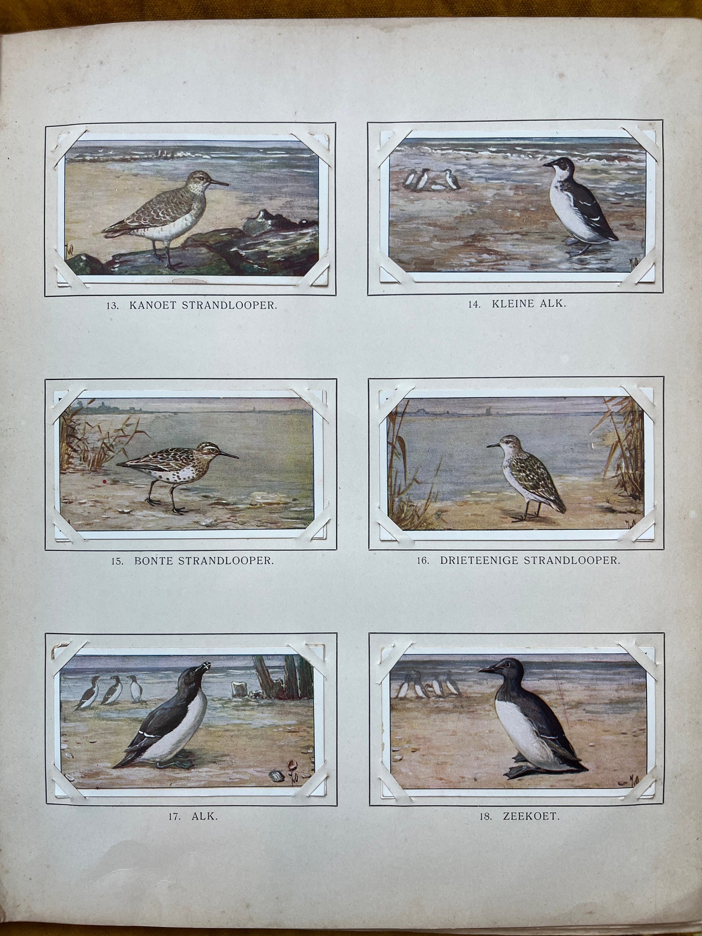 Losse Verkade plaatjes Winter (1909) 13-18