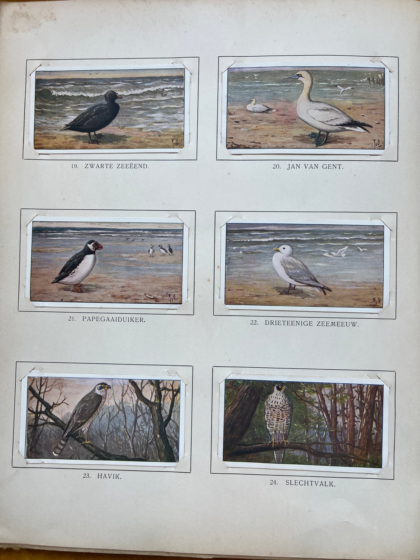 Losse Verkade plaatjes Winter (1909) 19-24