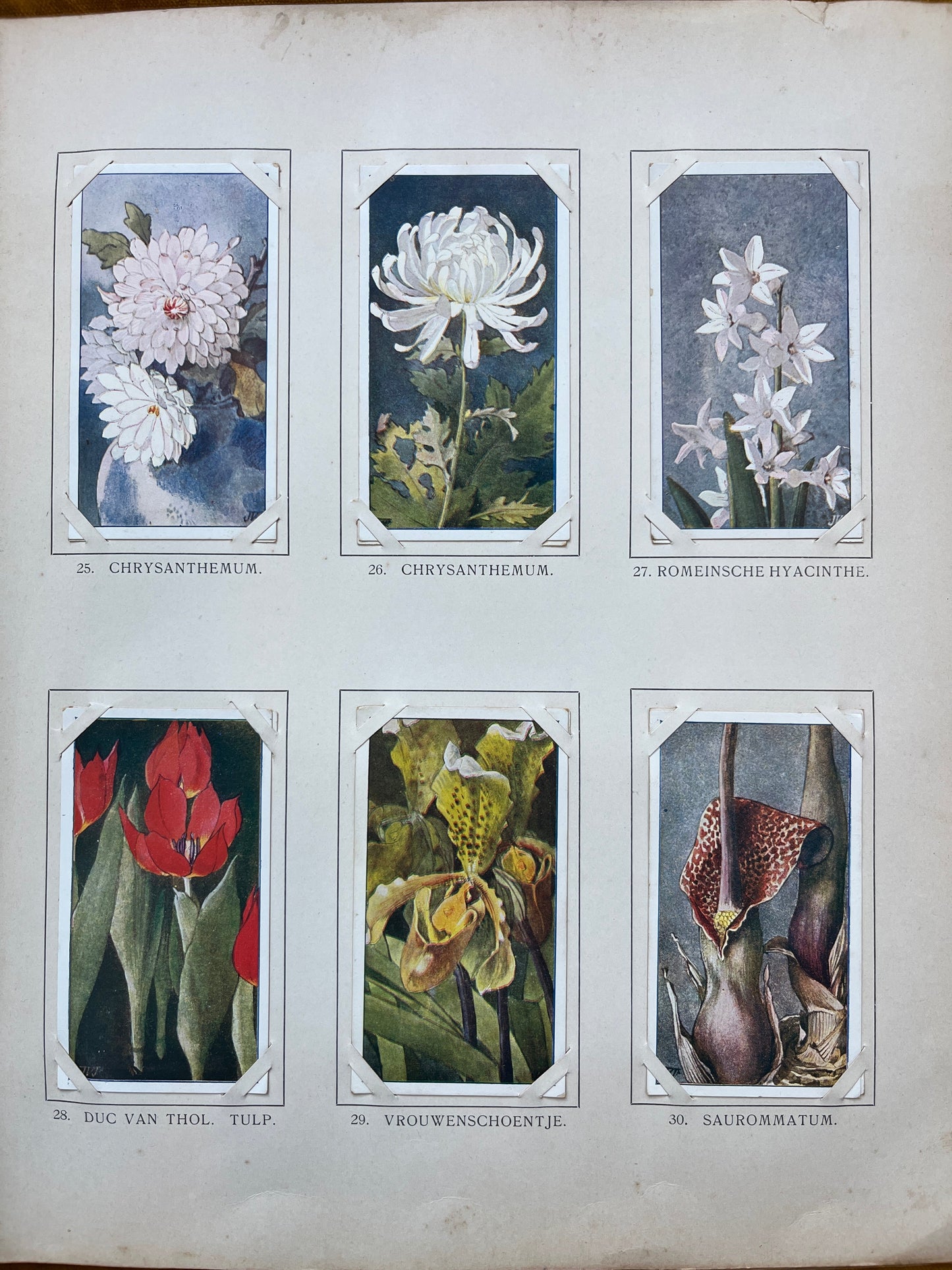 Losse Verkade plaatjes Winter (1909) 25-29