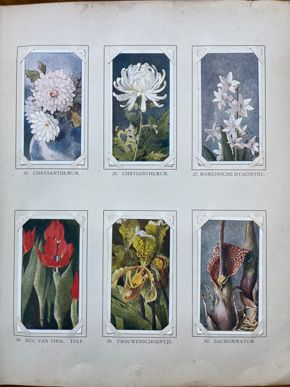 Losse Verkade plaatjes Winter (1909) 25-29